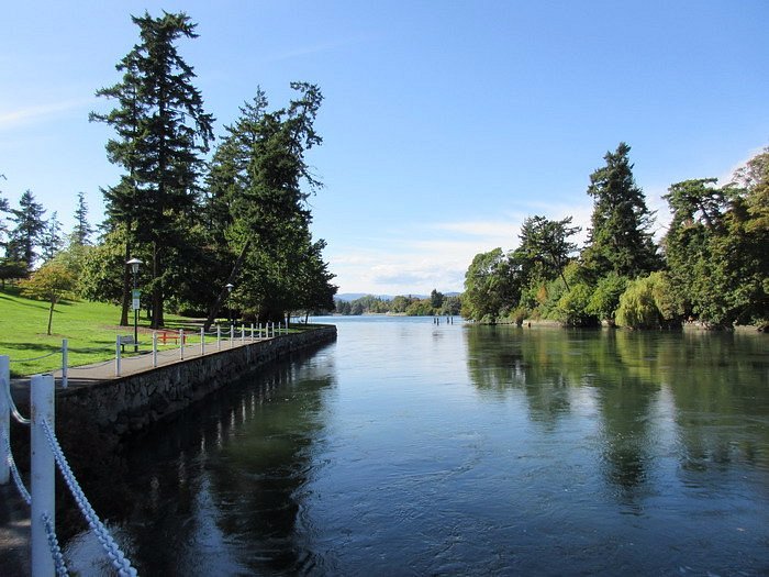 The Gorge Waterway Park in Victoria, Canada, showcasing a river with a bridge and lush trees on either bank.