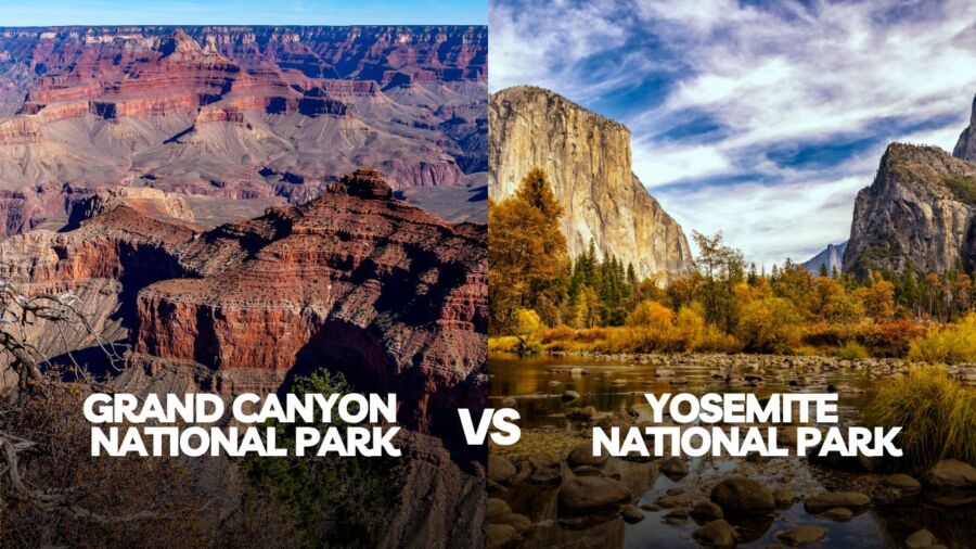 grand canyon national park vs yosemite national park