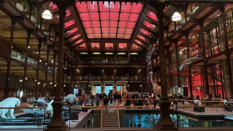 Grande galerie de l