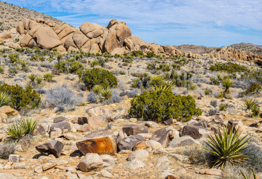 Scenic granite rock formations on the Split Rock Loop Trail, highlighting the unique landscape of Joshua Tree National Park, California.