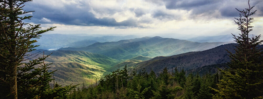 Scenic vista from Clingmans Dome in the Great Smoky Mountains, featuring expansive greenery and distant mountain peaks.