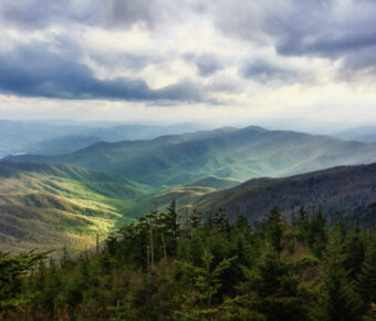 Scenic vista from Clingmans Dome in the Great Smoky Mountains, featuring expansive greenery and distant mountain peaks.