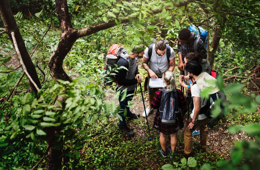 Diverse group of individuals hiking in a vibrant forest, enjoying the beauty of nature and each other's company