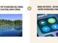 Guided Trip to Asahiyama Zoo, Furano, Biei Blue Pond, Ningle Terrace vs Mobile Wifi Rental - New Chitose Airport International Terminal: Which Tour Is Better?