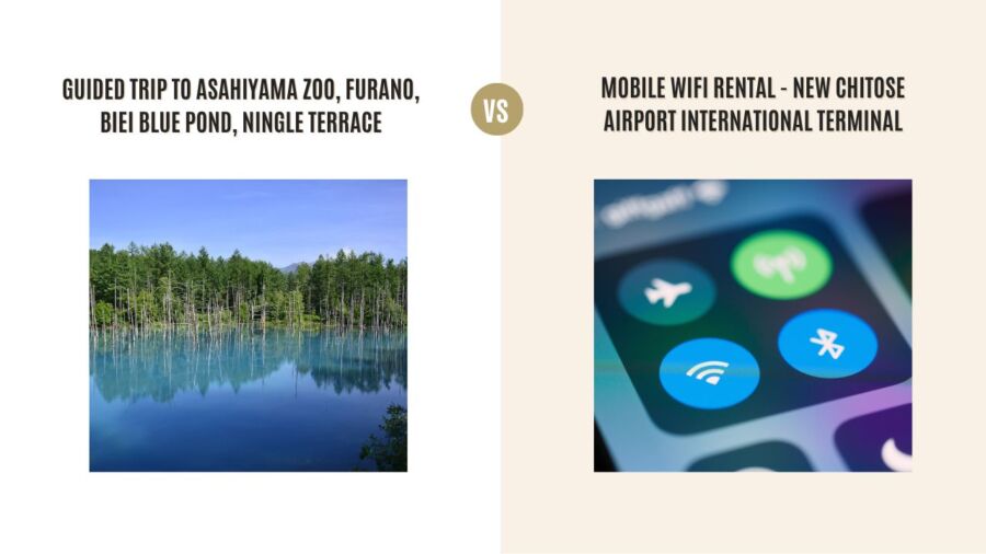 Guided Trip to Asahiyama Zoo, Furano, Biei Blue Pond, Ningle Terrace vs Mobile Wifi Rental – New Chitose Airport International Terminal: Which Tour Is Better?
