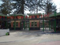 Happy Hollow Park & Zoo