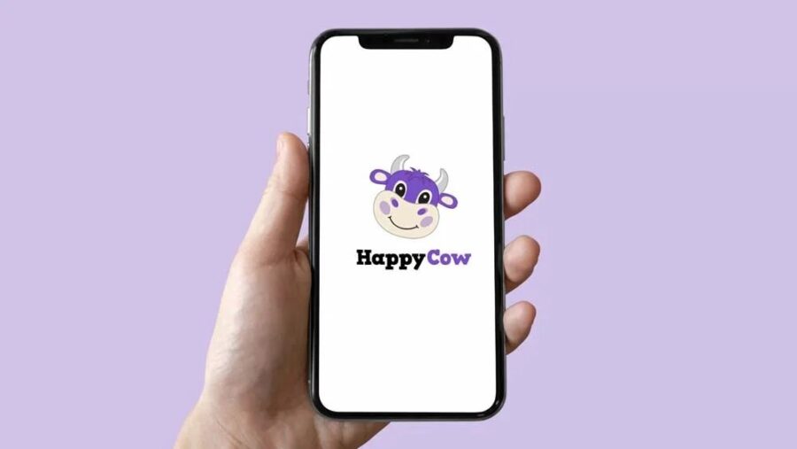 HappyCow app logo on smartphone, featuring a friendly cartoon cow and inviting lavender background.