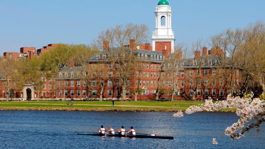 Harvard Universitys scenic Charles River with rowers, red-brick buildings, and spring cherry blossoms.
