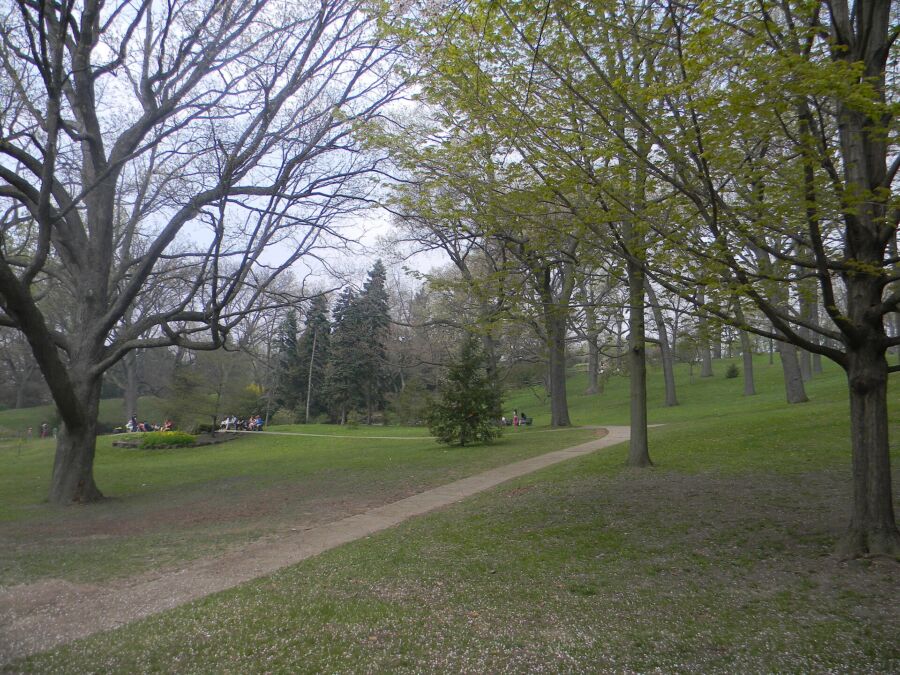 Scenic path in High Park, Toronto, guiding visitors to a bench nestled among the trees.
