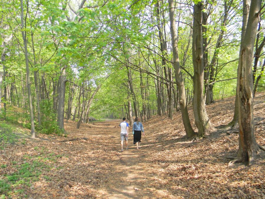 Two people stroll on a forested path in High Park, Toronto, enjoying the natural scenery and tranquility of the woods.
