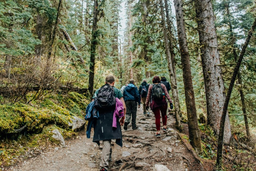 Hikers with backpacks ascending a mossy forest trail on an uphill hike.