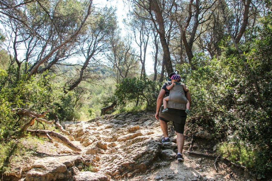 Exploring the Calanques