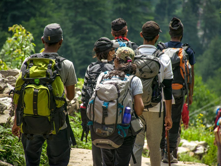 Hikers on nature trail with backpacks, trekking poles, surrounded by lush greenery.