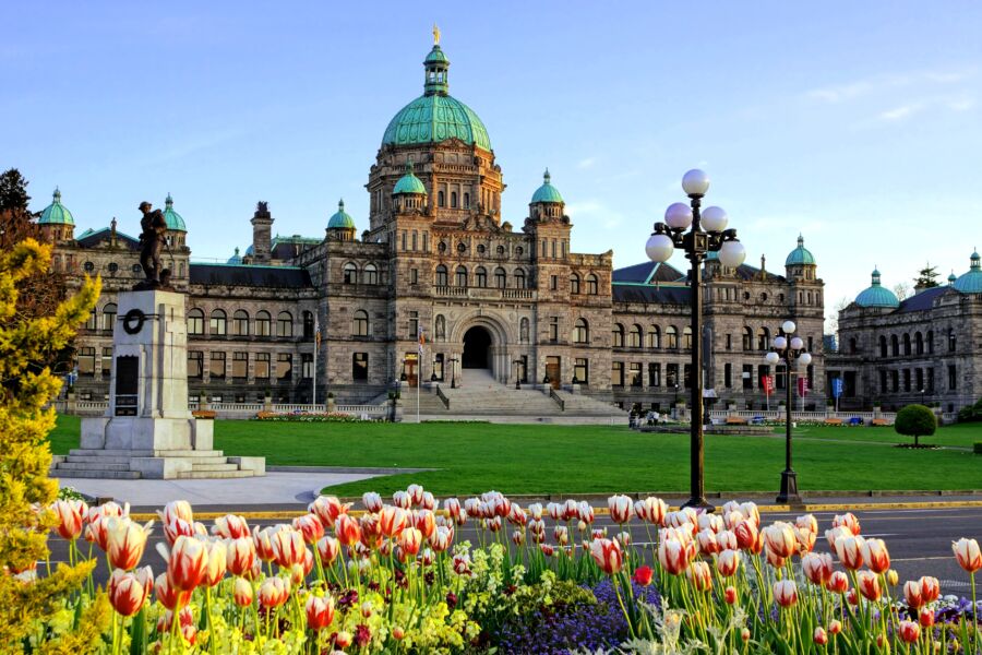 The British Columbia provincial parliament building framed by colorful spring tulips in Victoria, BC, Canada.
