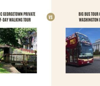 Historic Georgetown Private Half-Day Walking Tour vs Big Bus Tour of Washington DC: Which Tour Is Better?