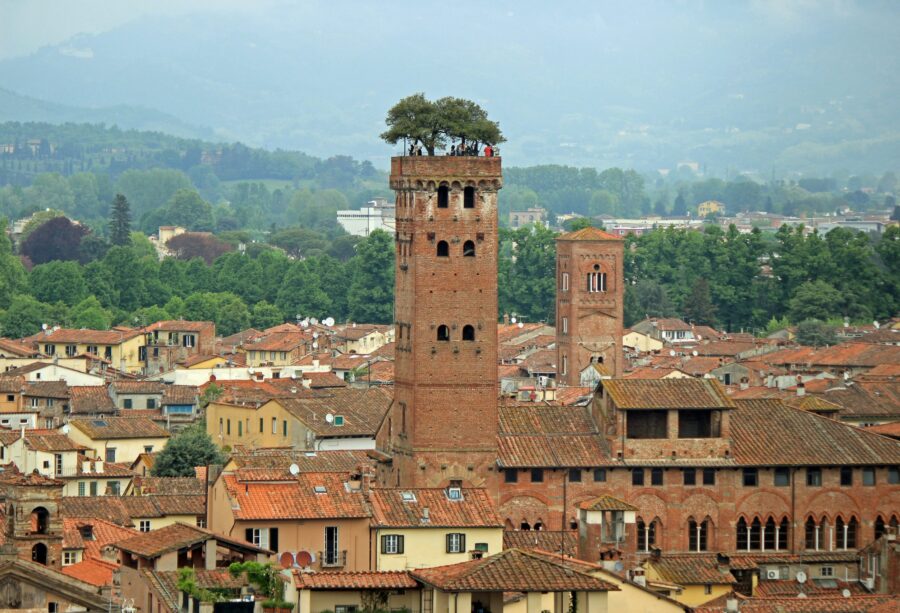 Lucca medieval tower with rooftop terracotta tiles and hilltop trees, historic Italian townscape.