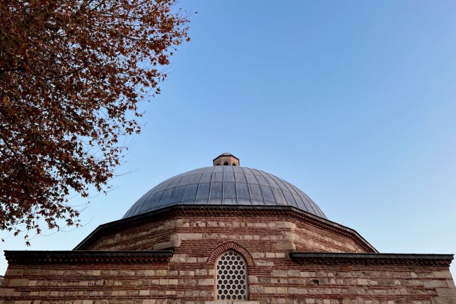 Elegant dome and autumn tree at historical landmark under clear blue sky.