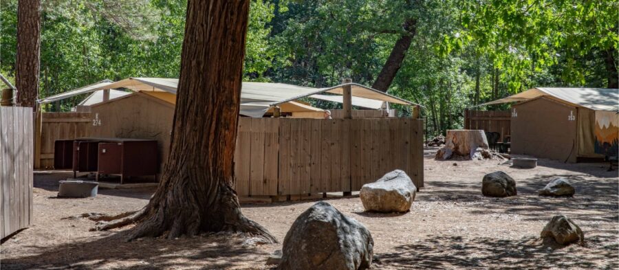 Tents set in a wooded area with rocks, located at Housekeeping Camp, Yosemite National Park.