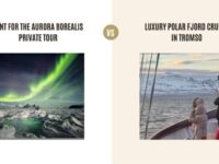 Hunt for the Aurora Borealis Private Tour vs Luxury Polar Fjord Cruise in Tromso: Which Tour Is Better?