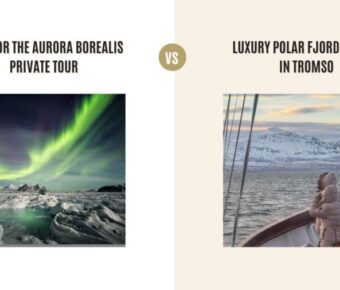 Hunt for the Aurora Borealis Private Tour vs Luxury Polar Fjord Cruise in Tromso: Which Tour Is Better?