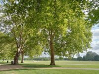 Hyde Park
