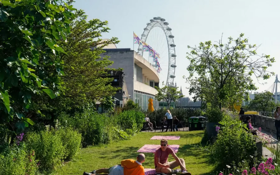Queen Elizabeth Hall rooftop garden on London Southbank with plants and skyline views.