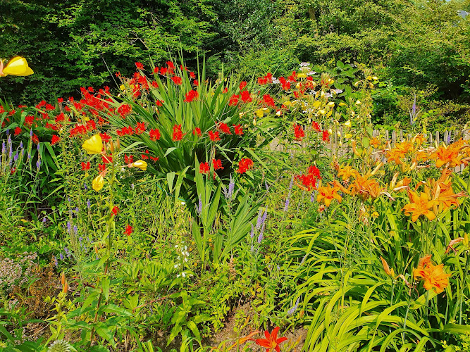 in Hamborn Botanical Garden
