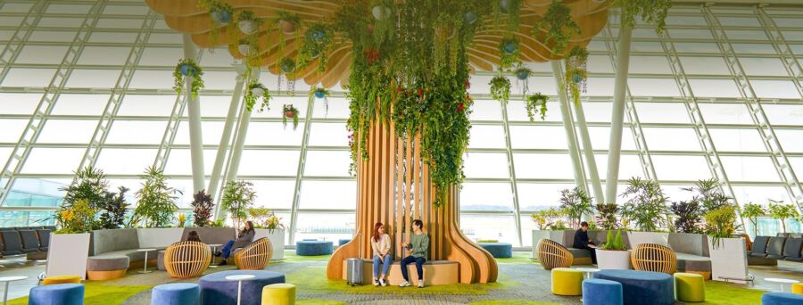 Large tree with hanging plants at Incheon International Airport, showcasing a blend of nature and travel ambiance.