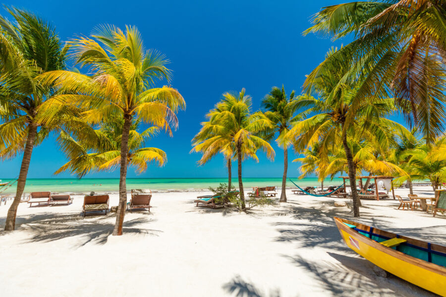 Tropical beach on Isla Holbox, Mexico, featuring white sand, palm trees, and clear turquoise waters under a blue sky.