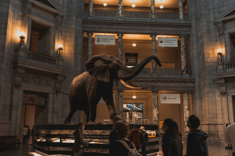 Smithsonian Museums