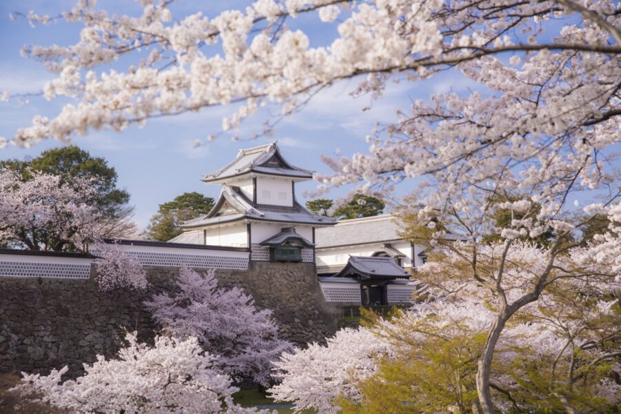 Kanazawa Castle in spring surrounded by cherry blossoms, historic Japanese architecture under blue sky.
