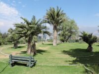 Jardín Mapulemu