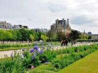 Tuileries Garden Paris