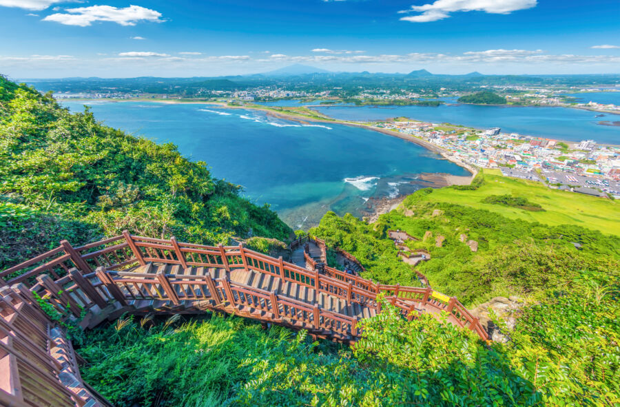Hiking path on Jeju Island, South Korea, featuring vibrant vegetation and a tranquil outdoor setting