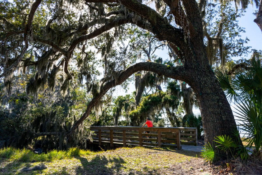 Active cyclist enjoys a sunny winter day near the airport along a road on Jekyll Island, Georgia