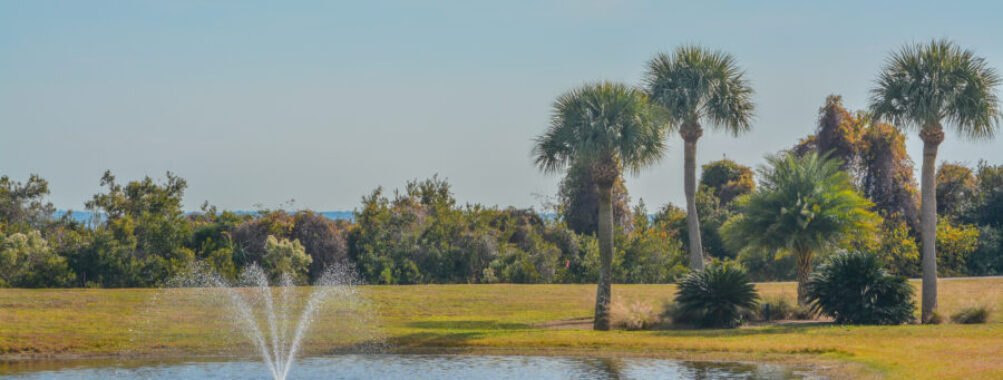 Serene fountain surrounded by a pond and palm trees on Jekyll Island, Glynn County, Georgia.