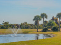 Serene fountain surrounded by a pond and palm trees on Jekyll Island, Glynn County, Georgia.
