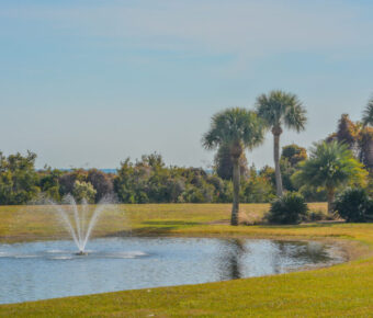 Serene fountain surrounded by a pond and palm trees on Jekyll Island, Glynn County, Georgia.