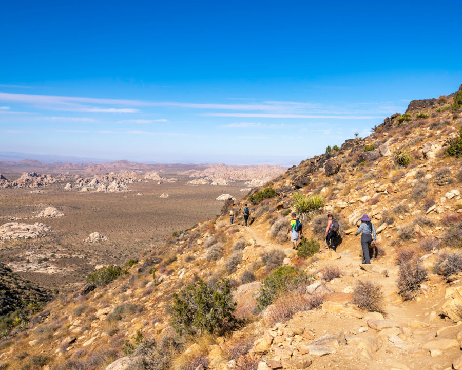 Scenic view of hikers ascending Ryan Mountain Trail in Joshua Tree National Park, with desert landscape in the background.