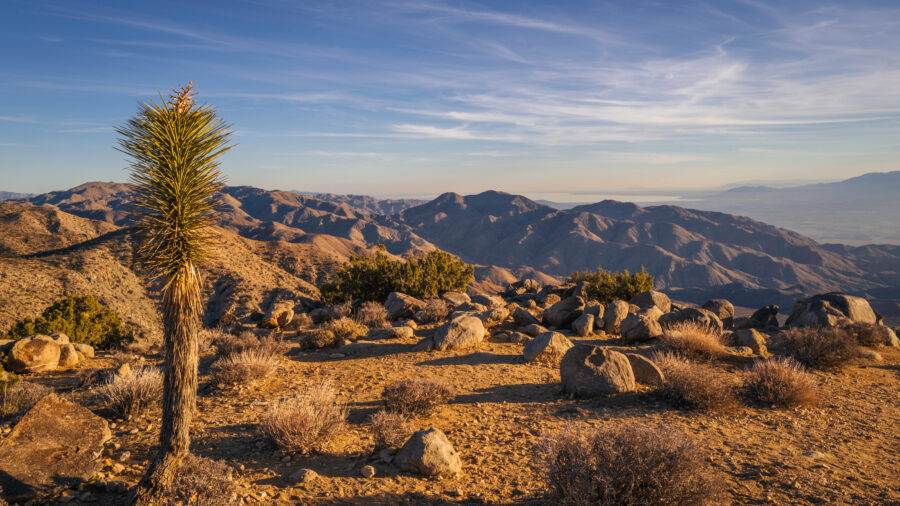 Sunset view from Keys View in Joshua Tree National Park, showcasing palm trees and the expansive Coachella Valley below.