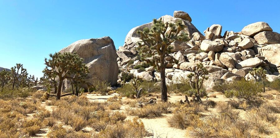 Stunning rock formations at Joshua Tree National Park, California, highlighting the park's distinctive desert scenery.