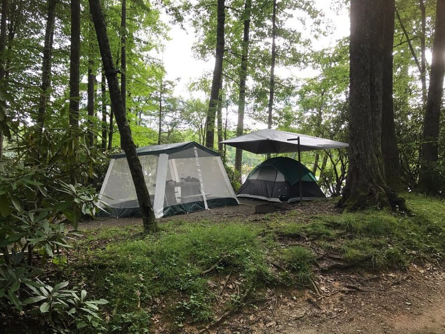 Camping tent nestled in the woods by a trail at Julian Price Campground, located on the Blue Ridge Parkway.