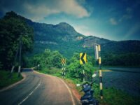 Kava palakkad