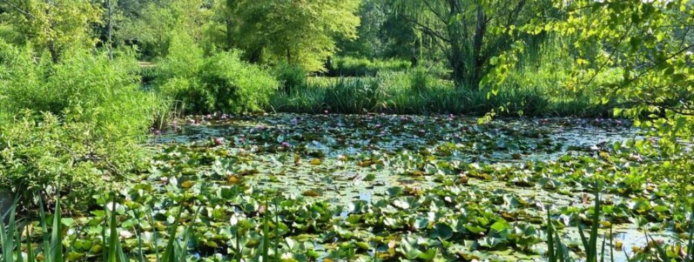 Kenilworth Park & Aquatic Gardens