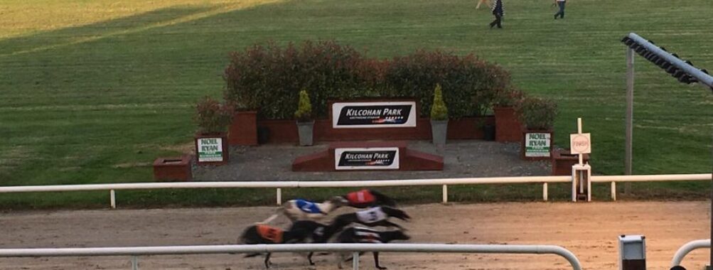 Kilcohan Park Greyhound Stadium