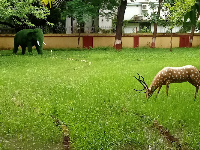 koel Karo park