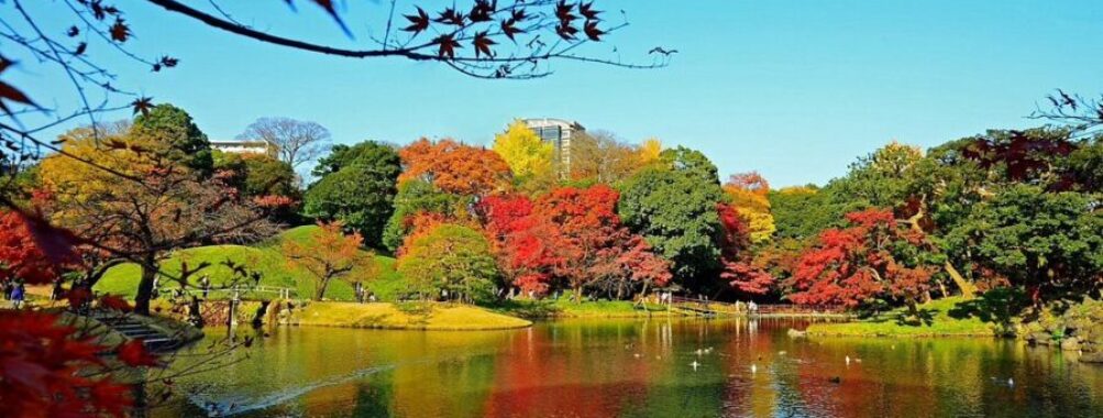 Koishikawa Korakuen Gardens