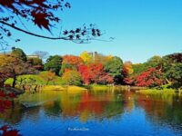 Koishikawa Korakuen Gardens