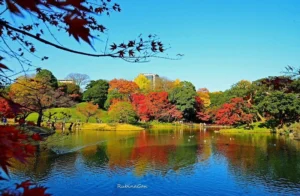 Koishikawa Korakuen Gardens