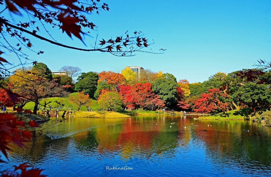 Koishikawa Korakuen Gardens